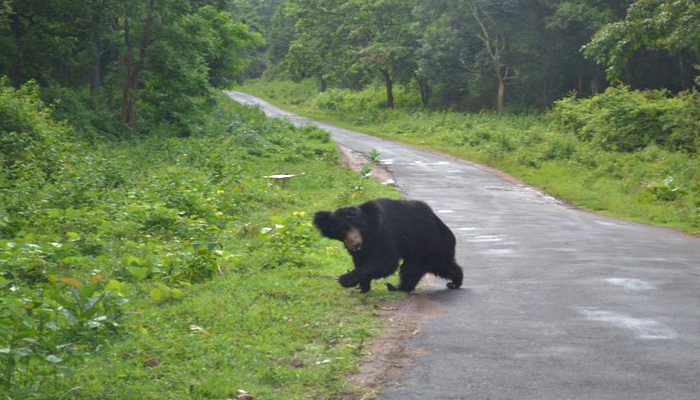 Best Homestay in Coorg